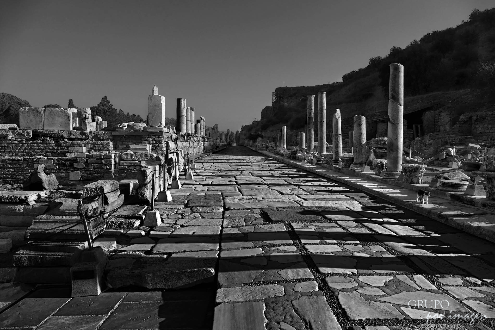 Efeso (Turquía) / Efraín David